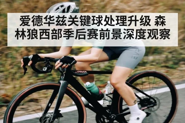 爱德华兹关键球处理升级 森林狼西部季后赛前景深度观察